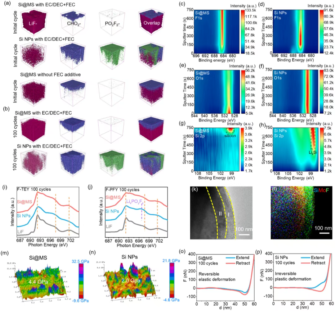 北京理工大学吴锋院士团队Mater. Today：选择性电催化策略构筑超致密且坚固的氟化SEI用于长- 行业交流